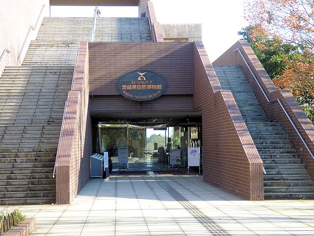 茨城県 自然博物館