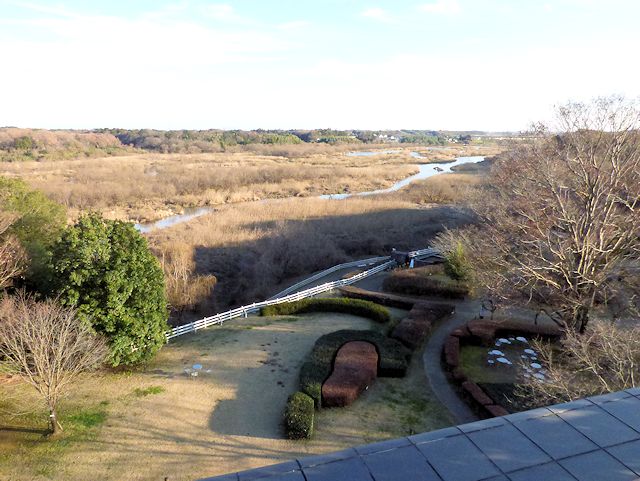 ��錧���R�����ق̉��ォ�猩����i�F