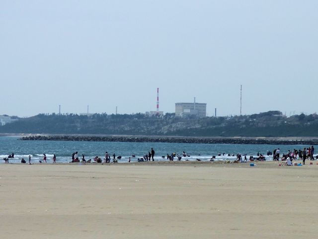 大洗サンビーチの潮干狩り