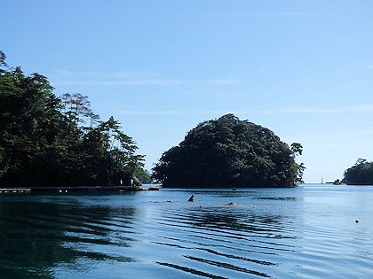 �\�o������\��p�̗V���D����