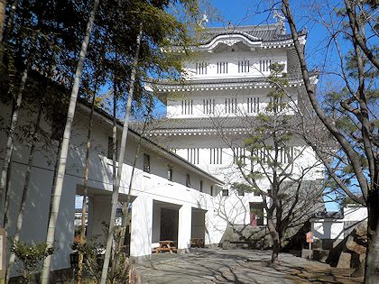 �s�c�s�̔E��