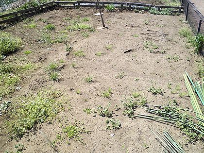 �؂肽�����̎s���_��