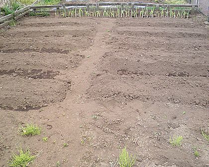 �s���_��